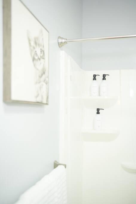 Cozy Apartment 2Nd 10Min Walk Downtown And City View 프로비던스 외부 사진